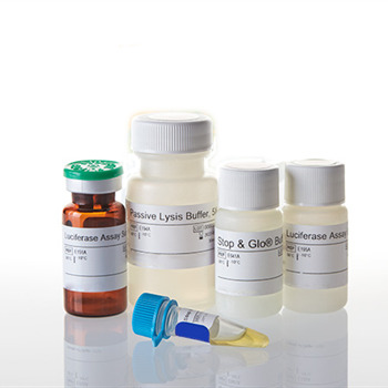 کیت سنجش گزارشگر دوال - لوسیفراز Daul-Luciferase Reporter(DLR) assay 